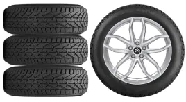 nowe-kola-zima-citroen-c3-aircross-riken-215-50r17