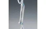mop-parowy-ariete-4164-multi-steam-system-gratis-model-4164