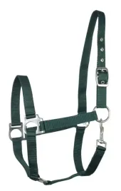 b-kantar-api-eco-ciemny-zielony-cob-2