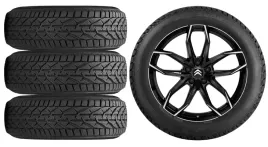 nowe-kola-zima-citroen-c5-aircross-a-riken-225-55r18
