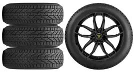 nowe-kola-zima-cupra-ateca-riken-215-50r18-1