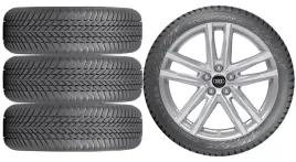nowe-kola-zima-audi-q3-sportback-f3-nokian-215-65r17-9