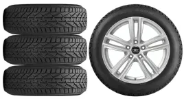 nowe-kola-zima-audi-a4-b9-riken-225-50r17