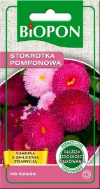 biopon-nasiona-stokrotka-pomponowa-mix-kolorow-01