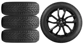 nowe-kola-zima-citroen-berlingo-e-riken-205-55r17