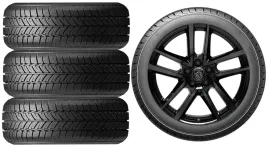 nowe-kola-zima-peugeot-308-f-roadx-225-40r18-2