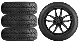nowe-kola-zima-mazda-cx-3-cx3-dj1-riken-215-50r18