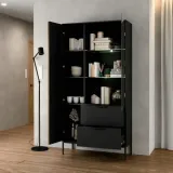 witryna-meorati-eltap-szklana-gablota-szafka-wysoka-stojaca-do-salonu-mebel-typ-wiszaca