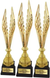 swietny-komplet-pucharow-skrzydla-pasjonaci-lotow-golebi-pzhgp-grawerki