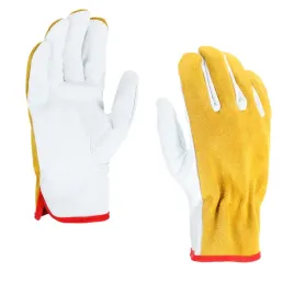 rekawice-robocze-skorzane-10-krotkie-kozia-skora-zolte-mocne-x-golddriver