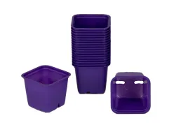 doniczka-produkcyjna-kwadratowa-6x6cm-30szt-vefi