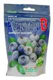 planton-b-nawoz-do-borowek