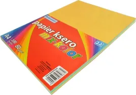 schemat-papier-ksero-a4-100-kartek-arkuszy-mix-pastelowych-kolorow-80g-m2