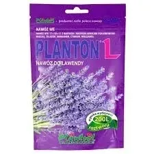 planton-l-lawenda-plantpol