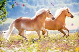 k-miniaturowe-puzzle-z-konmi-spiegelburg-18373-54el-20x13cm