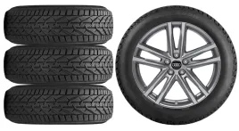 nowe-kola-zima-audi-a3-sportback-gy-riken-205-50r17-9