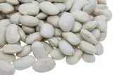fasola-jas-20-kg
