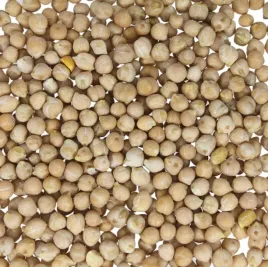 ciecierzyca-500g-kal-6-mm-cieciorka-groch-wloski