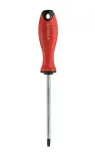 srubokret-torx-parkside-t20x100