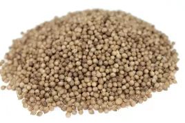 kolendra-ziarno-1kg-naturalne-przyprawy