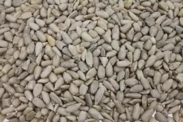 slonecznik-luskany-10kg