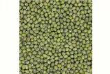 fasola-mung-5kg