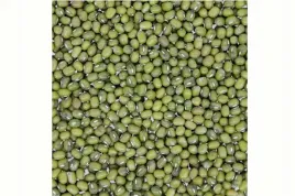 fasola-mung-na-kielki-100g