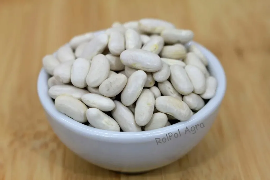 fasola-drobna-biala-10-kg
