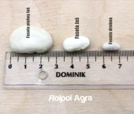 fasola-drobna-biala-1-kg