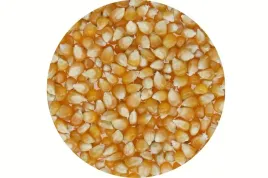 popcorn-ziarno-kukurydza-do-prazenia-200g-argentyna