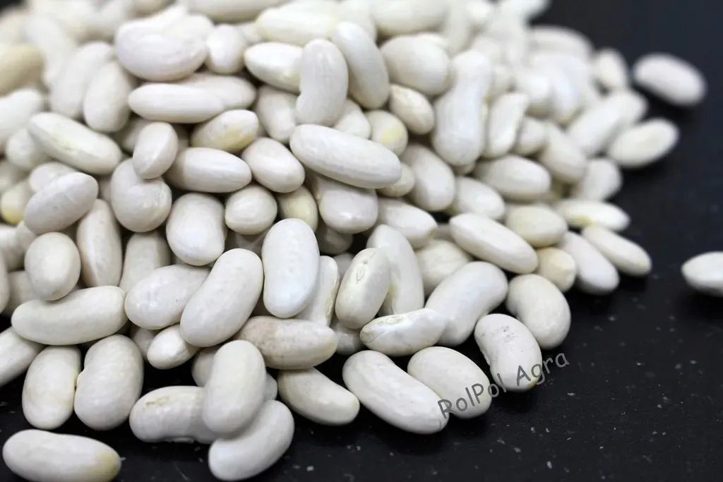 fasola-drobna-biala-3-kg
