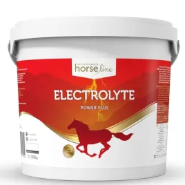 horselinepro-electrolyte-power-plus-3000-g-energia