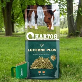 sieczka-hartog-lucerna-plus-olej-lniany-15-kg-sieczka-dla-koni-z-olejem