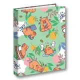 segregator-a4-2-kapibara-laka-penmate