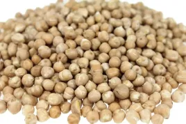 ciecierzyca-20kg-kal-6-mm-cieciorka-groch-wloski