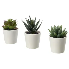 ikea-fejka-sukulent-sztuczny-kwiat-roslina-3-szt