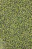 fasola-mung-500g