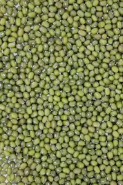fasola-mung-500g
