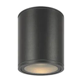 lampa-sufitowa-maytoni-outdoor-bar-maytoni-o306cl-l12gf