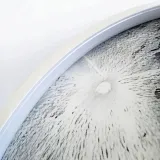 lampa-app1806-cw-moon-toolight-biala-50cm-kolor-bialy-szary