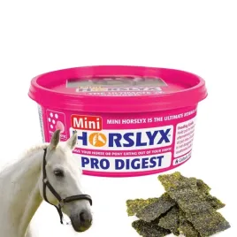 horslyx-pro-digest-lizawka-dla-koni-masa-energetyczna-formie-blokow-650g