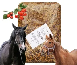 dzika-roza-mielona-1kg-dla-koni-dodatek-do-pasz-suplement-dla-zwierzat