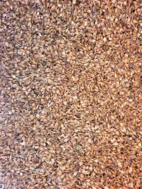 owies-gnieciony-pasza-zboze-dla-koni-kucy-20kg