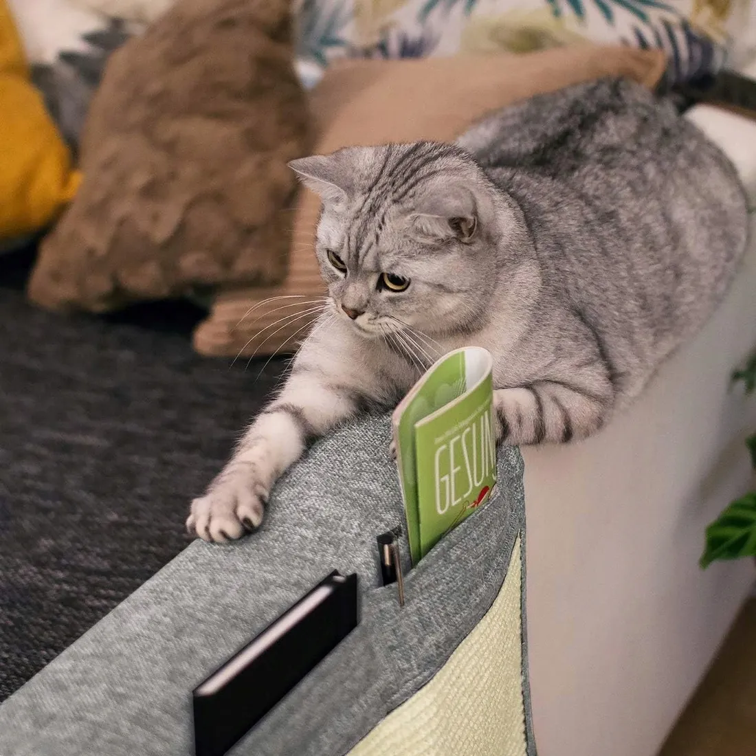 maty-do-drapania-101-160-cm