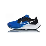 pegasus-marka-nike
