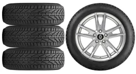 nowe-kola-zima-renault-austral-riken-215-65r17-2