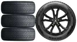 nowe-kola-zima-citroen-berlingo-e-nexen-205-60r16