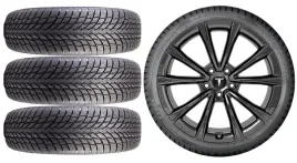 nowe-kola-zima-tesla-model-y-nokian-255-45r19-2