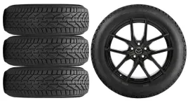 nowe-kola-zima-mazda-cx-3-cx3-dj1-riken-215-50r18-16