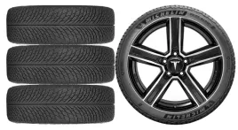 nowe-kola-zima-tesla-model-y-michelin-255-40r20-1